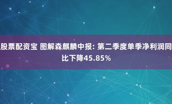 股票配资宝 图解森麒麟中报: 第二季度单季净利润同比下降45.85%
