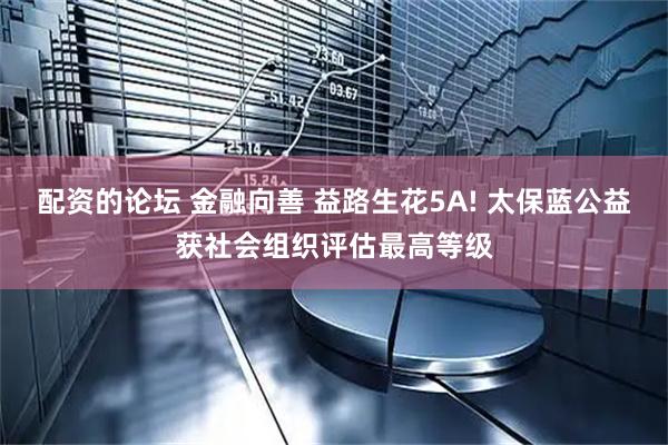 配资的论坛 金融向善 益路生花5A! 太保蓝公益获社会组织评估最高等级