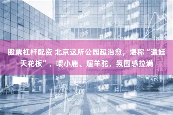 股票杠杆配资 北京这所公园超治愈，堪称“遛娃天花板”，喂小鹿、遛羊驼，氛围感拉满