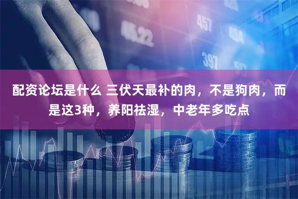 配资论坛是什么 三伏天最补的肉，不是狗肉，而是这3种，养阳祛湿，中老年多吃点