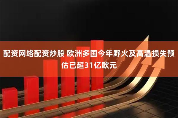 配资网络配资炒股 欧洲多国今年野火及高温损失预估已超31亿欧元
